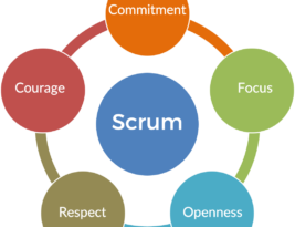 Embracing the Heart of Agile: Exploring the Five Scrum Values for Successful Project Management